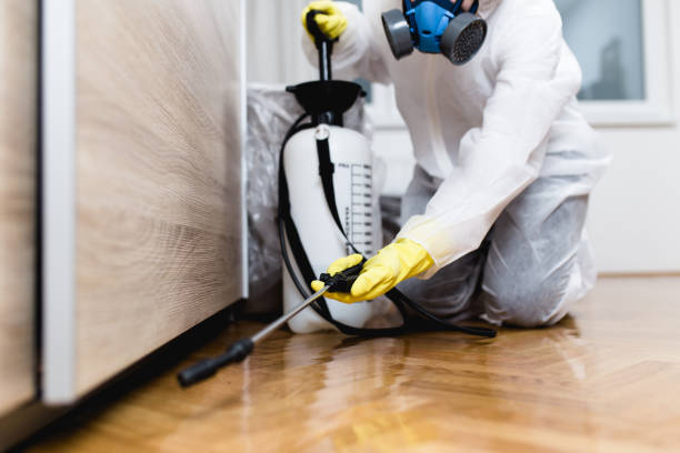 Best Bed Bug Extermination  in Forestville, CA