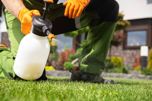 Best Bird Control  in Forestville, CA