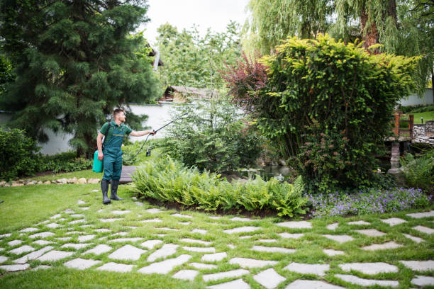 Best Mosquito Control Services  in Forestville, CA