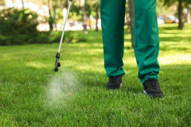 Best Pest Removal Services  in Forestville, CA
