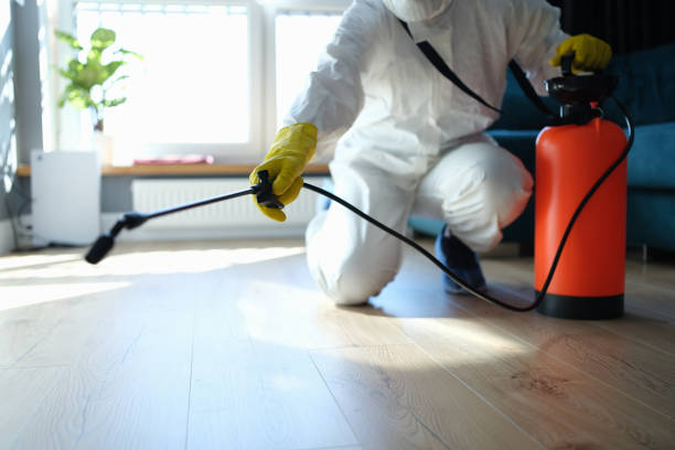 Best Best Pest Control Companies  in Forestville, CA