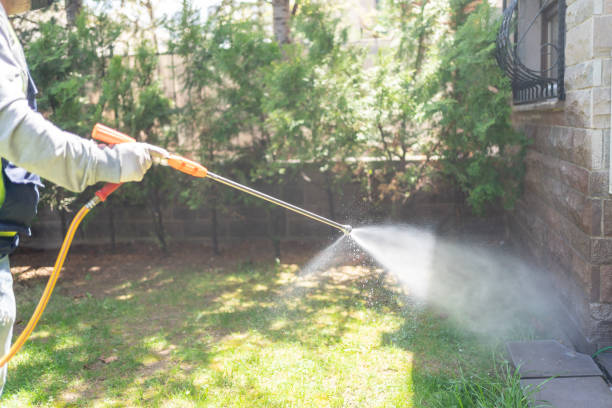 Best Pest Prevention Services  in Forestville, CA