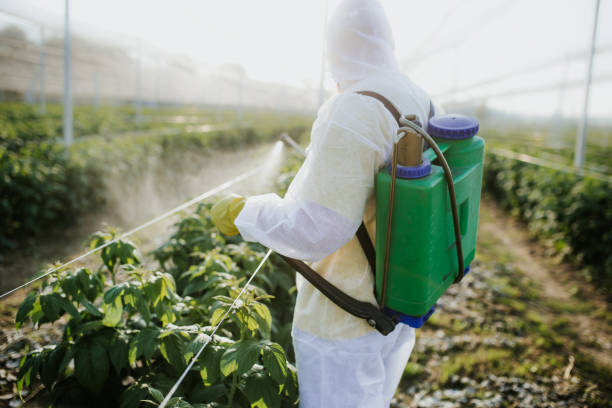  Forestville, CA Pest Control Pros